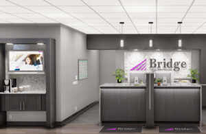 Bridgecu-01